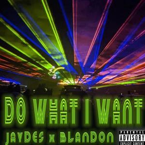 Do What I Want (Explicit)