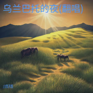 乌兰巴托的夜