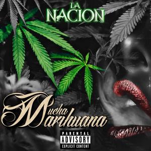 Mucha Marihuana (Explicit)