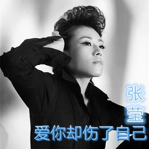 爱你却伤了自己