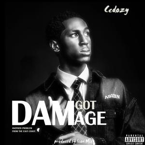 DAM GOT DAMAGE (Explicit)
