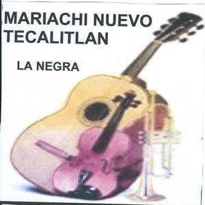 El Novillero