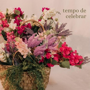 tempo de celebrar