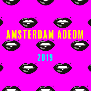 Amsterdam Adedm 2019