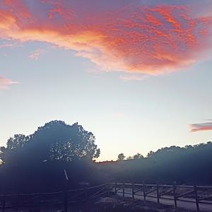 Homeostasis (feat. Merkurio Se Muere) (Prod. DJ Eris Tsubasa|Explicit)