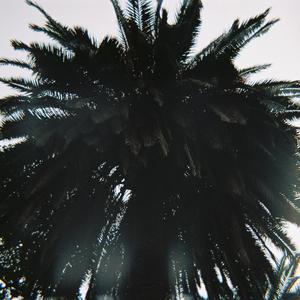 Clocking Into Sun (Explicit)