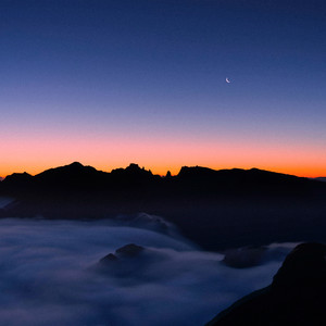 into the night