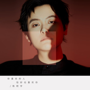 陈柯宇 - 你喜欢的人恰好也喜欢你