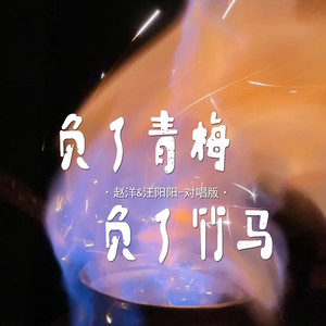 负了青梅负了竹马 (对唱版伴奏)封面