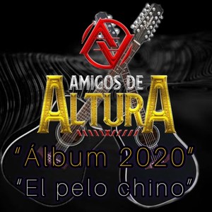 "Album 2020" El pelo chino