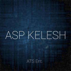 ASP Kelesh (feat. Shinev) (Explicit)