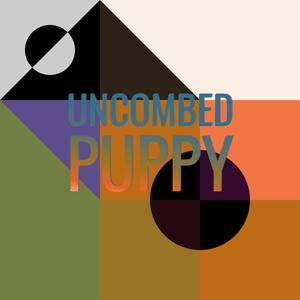 Uncombed Puppy