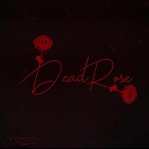 follow You (feat. Petsy) (Explicit)