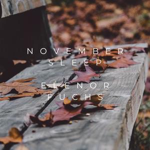 November Sleep