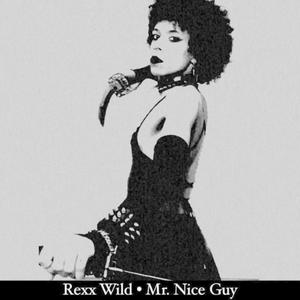 Mr. Nice Guy (Explicit)