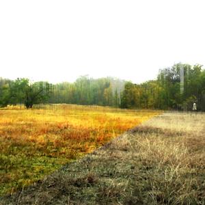 struggling to breathe (Explicit)