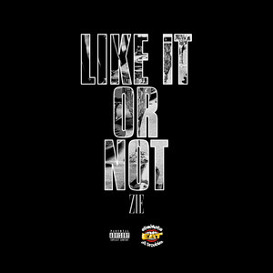 Like It or Not (Explicit)