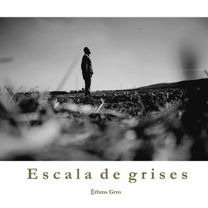 Escala De Grises