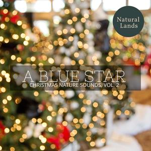 A Blue Star - Christmas Nature Sounds, Vol. 2