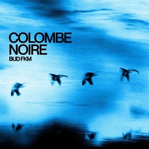 Colombe noire