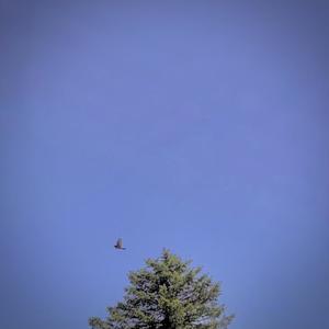 Cool Down (Explicit)