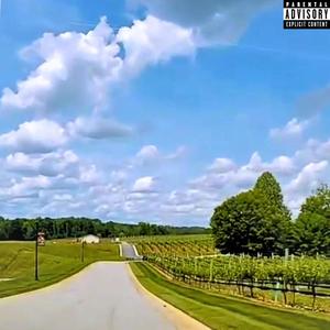 Childress Vineyards (Prod. by Grizzly Beatz) [Explicit]