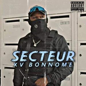 Secteur (Explicit)