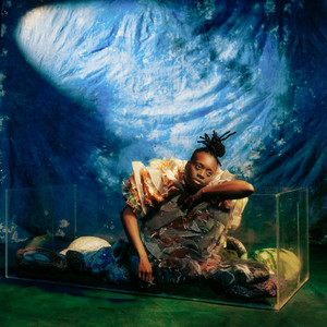 W.U.S.S. (hijaycribbs Remix|Explicit)