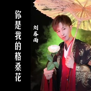 我是你的格桑花