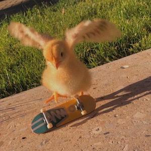 this that (skater flow) (Explicit)