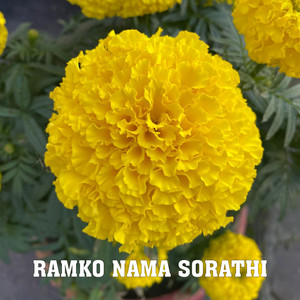 Ramko Nama Sorathi