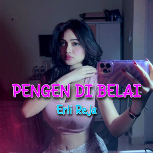 Pengen Di Belai
