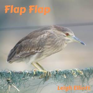 Flap Flap