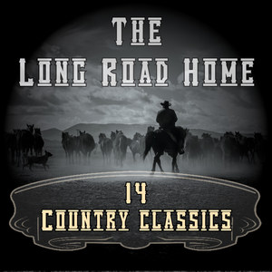 The Long Road Home - 14 Country Classics