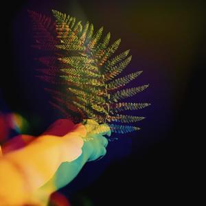 Todos (feat. Dafne Castañeda)