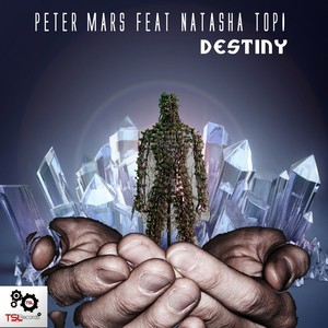 Destiny (Original Mix)