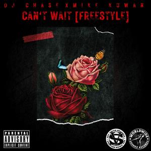 Can't Wait Freestyle (Explicit)