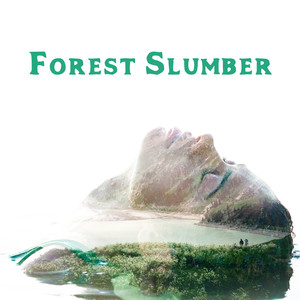 Forest Slumber – Nature Sounds, Relaxing New Age Music, Good and Long Sleep