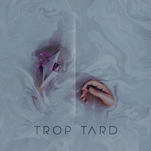 Trop tard (feat. Ryukin & Parsa Hajihosseini)