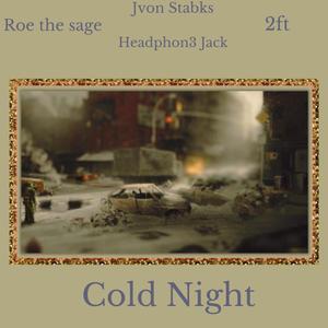 COLD NIGHT(feat. Roe The Sage, 2Ft & Jvon Stabks) (Explicit)