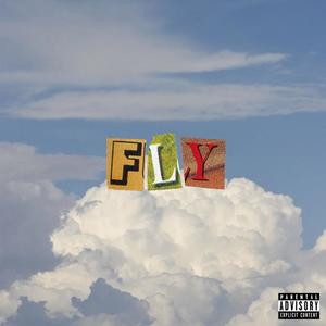 FLY(feat. SLA) (Explicit)