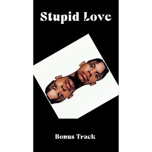 Stupid Love