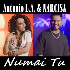 Numai Tu