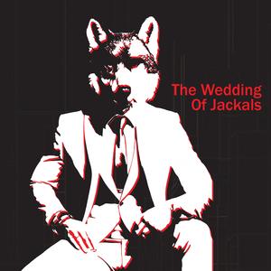 The wedding of jackals