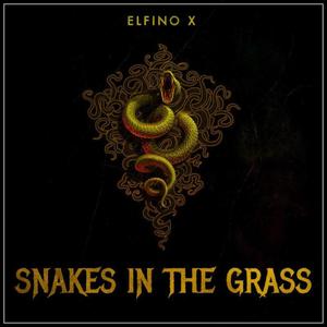 Snakes In The Grass (Explicit)