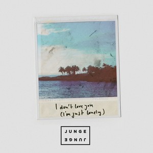 I Don't Love You (I'm Just Lonely) (Explicit)