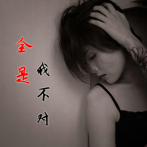 全是我不对 (DJ版)
