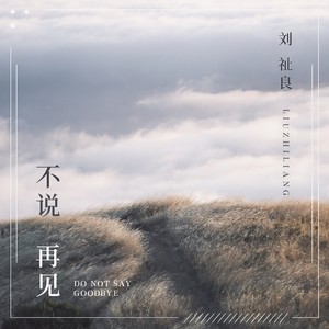 不说再见