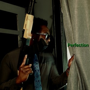 Perfection (feat. Musicality) (Explicit)