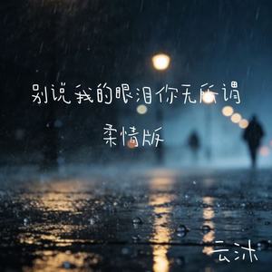 别说我的眼泪你无所谓 (柔情版)